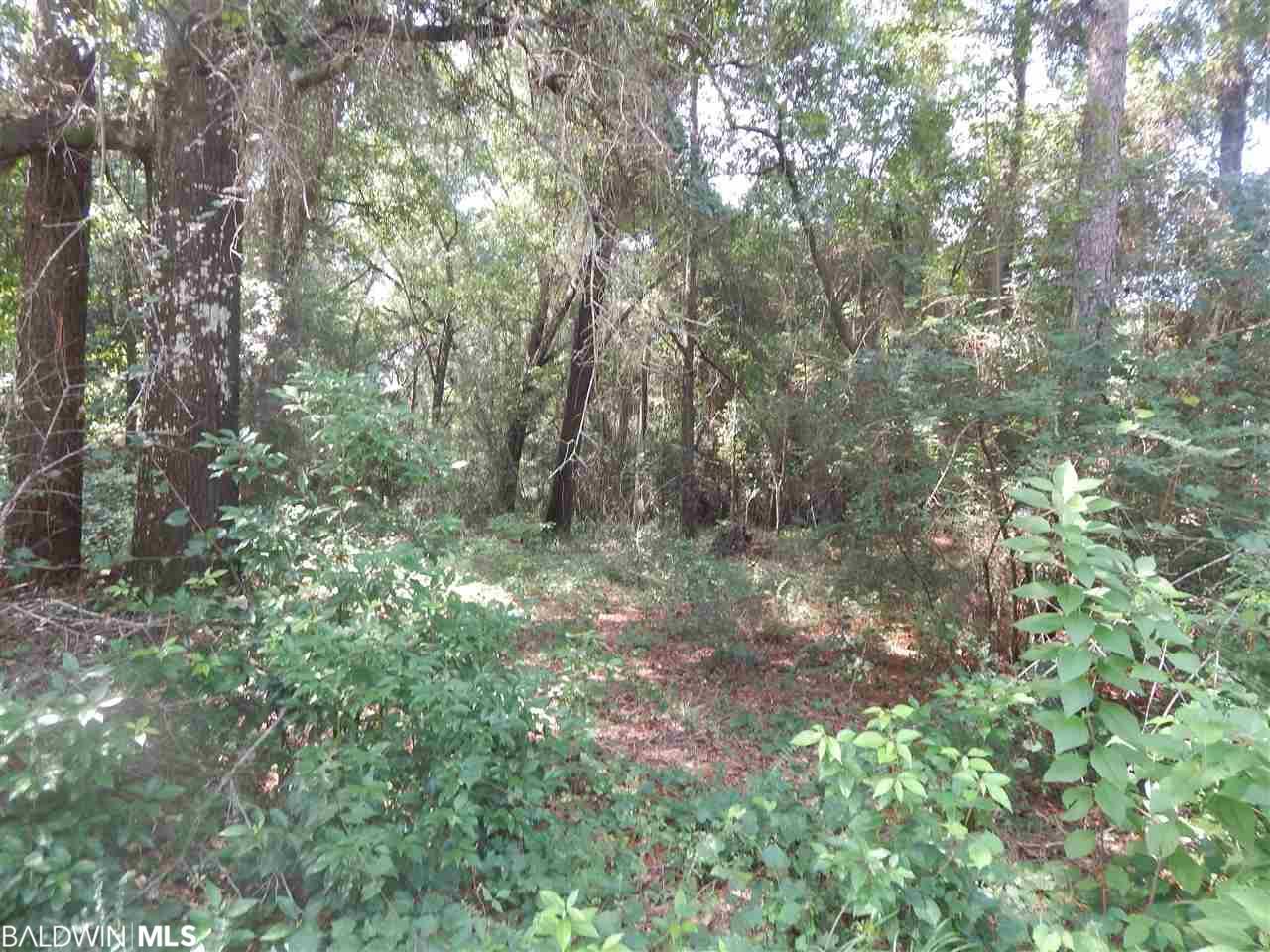 34076 Medlin Ln - Photo 1