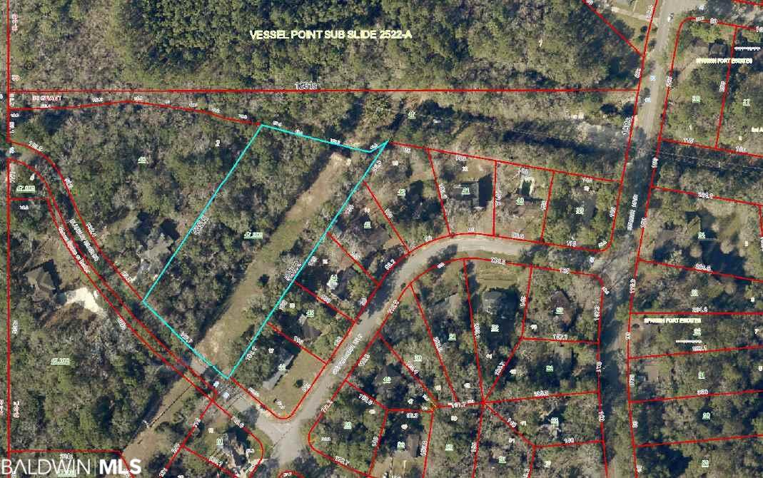 Blakeley River Road - Photo 1