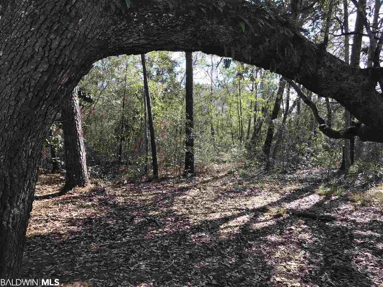 Bayou Circle - Photo 1