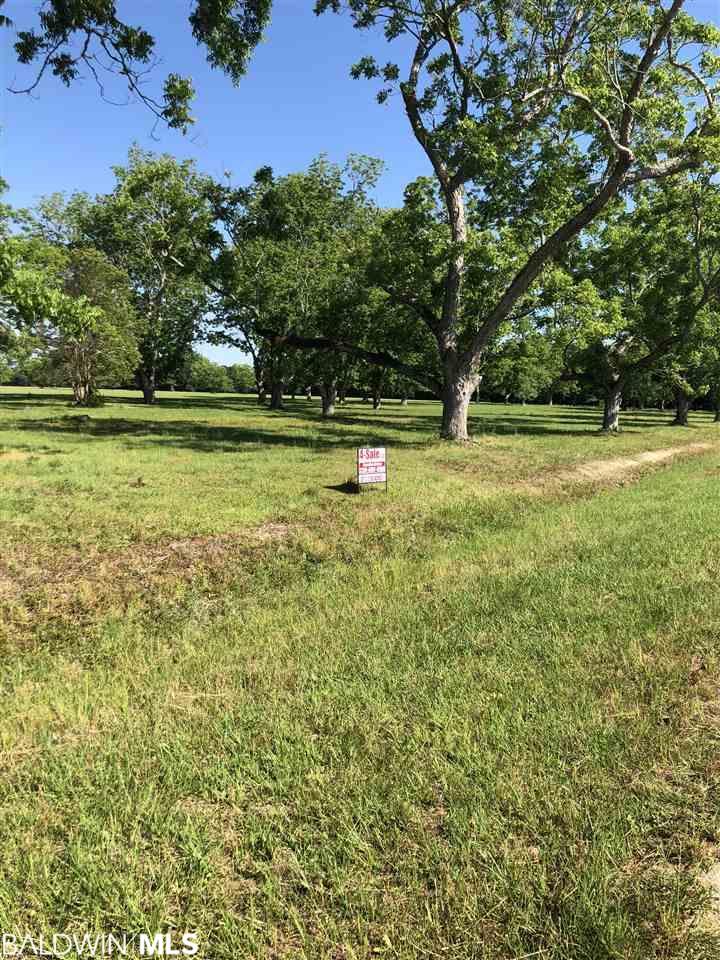 26815 Highway 98 - Photo 1