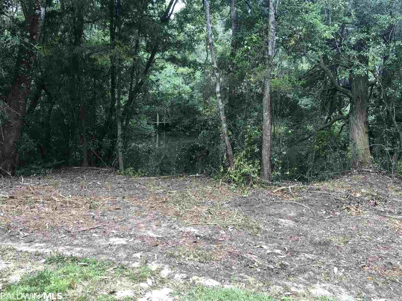 17825 River Road - Photo 1