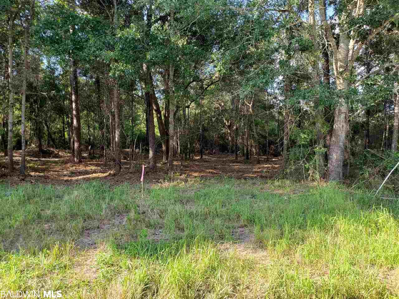 Lot 24 County Road 16 - Photo 1 Lot 24 County Road 16 - Photo 1