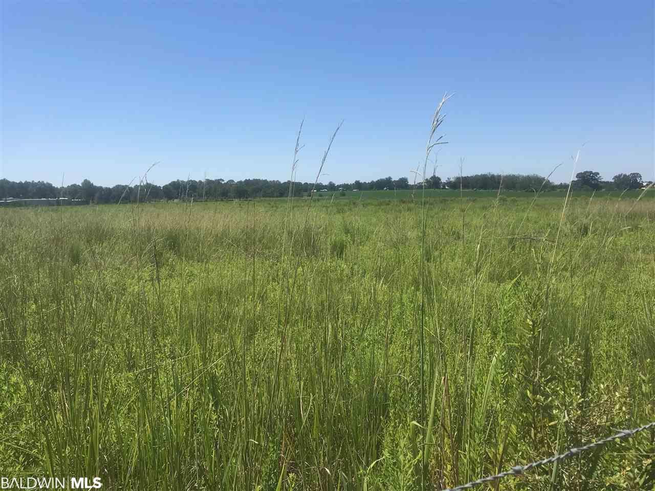 0 County Road 68 - Photo 1 0 County Road 68 - Photo 1