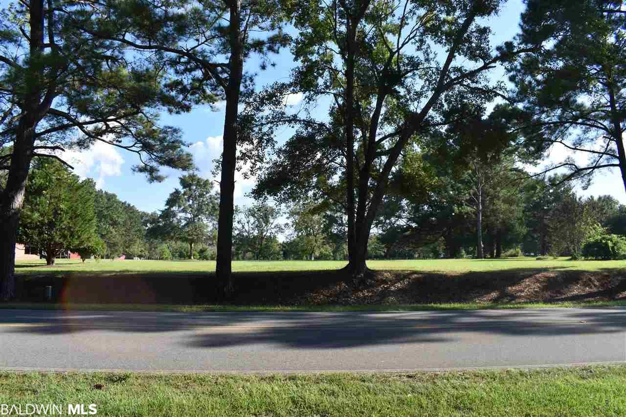 0 County Road 11 - Photo 1