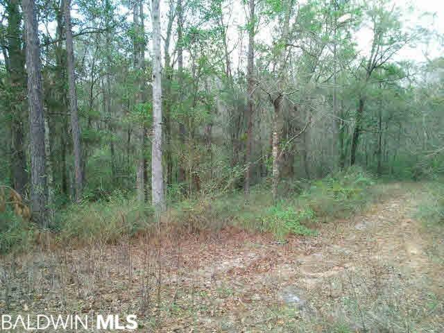 Lot 32 Mcfarland Circle - Photo 1