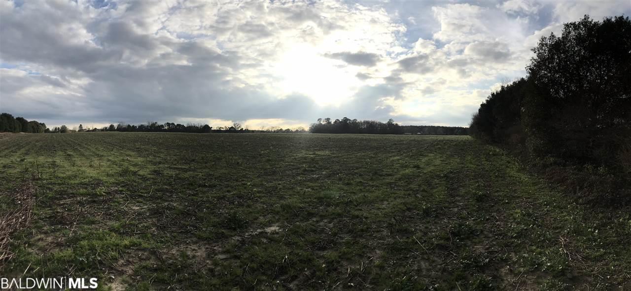 0 County Road 62 - Photo 1