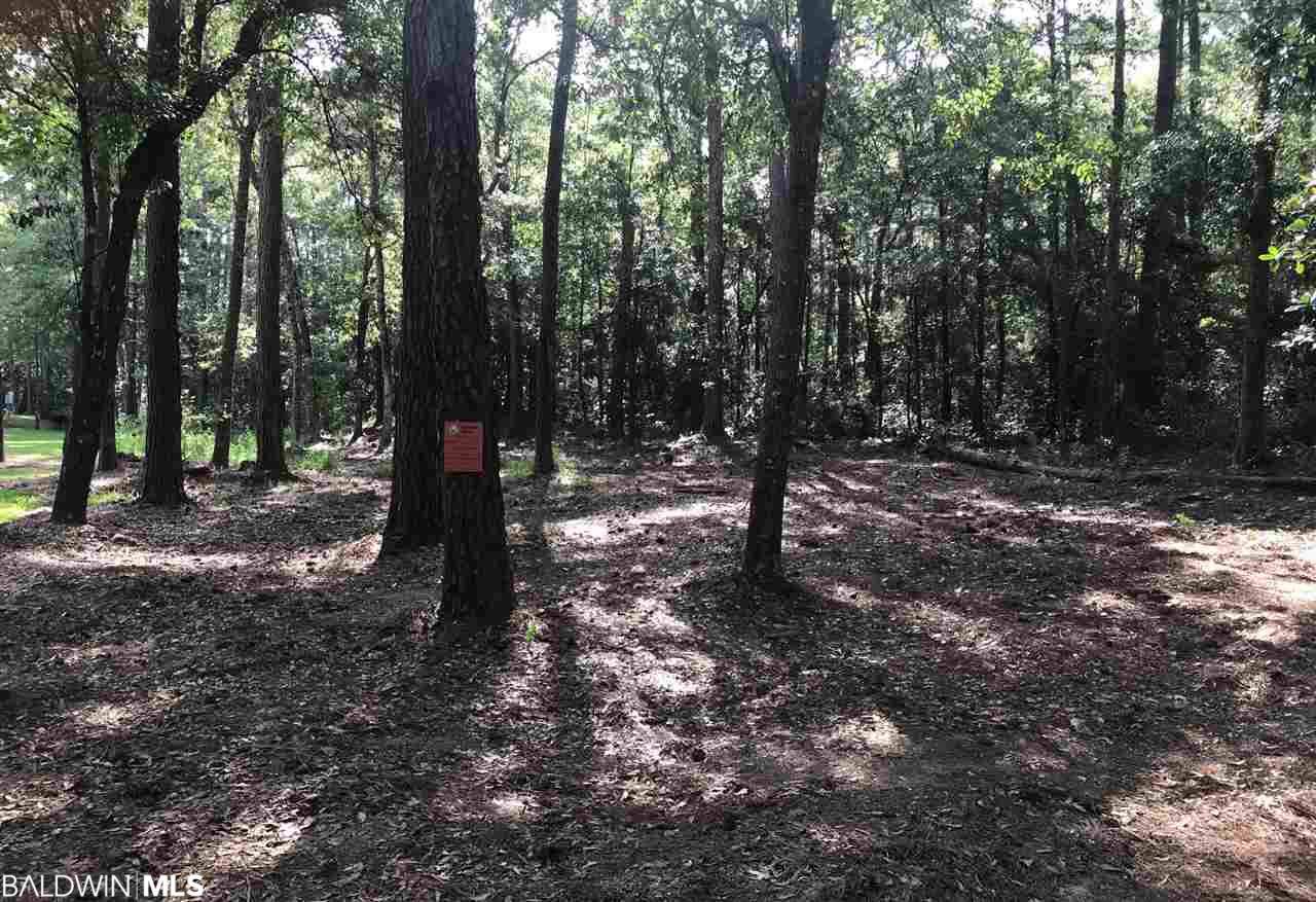 18755 Scenic Highway 98 - Photo 1