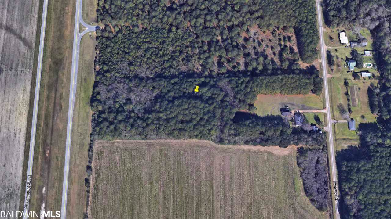 0 Roscoe Rd - Photo 1