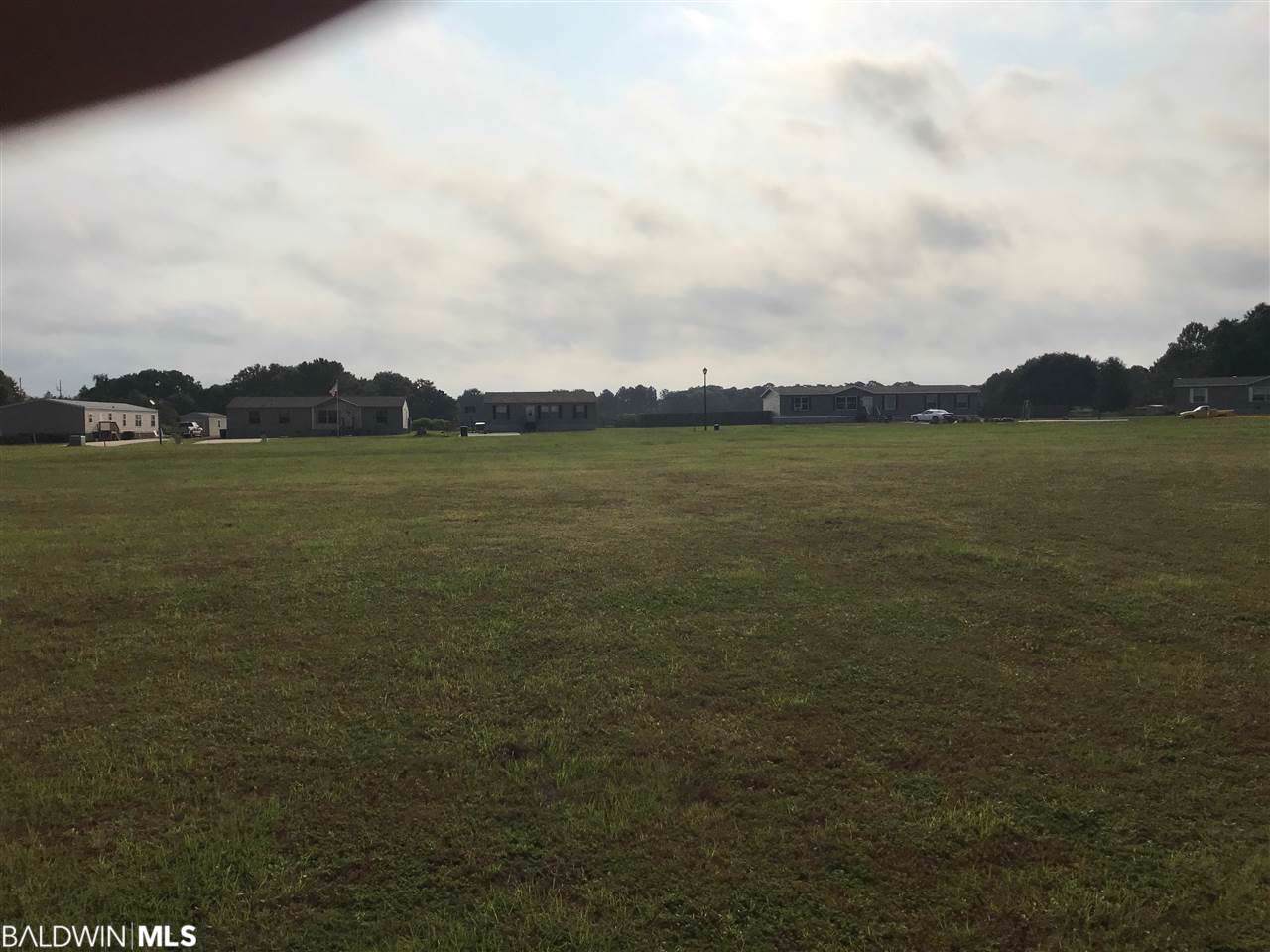 Lot 40 West Side Loop - Photo 1