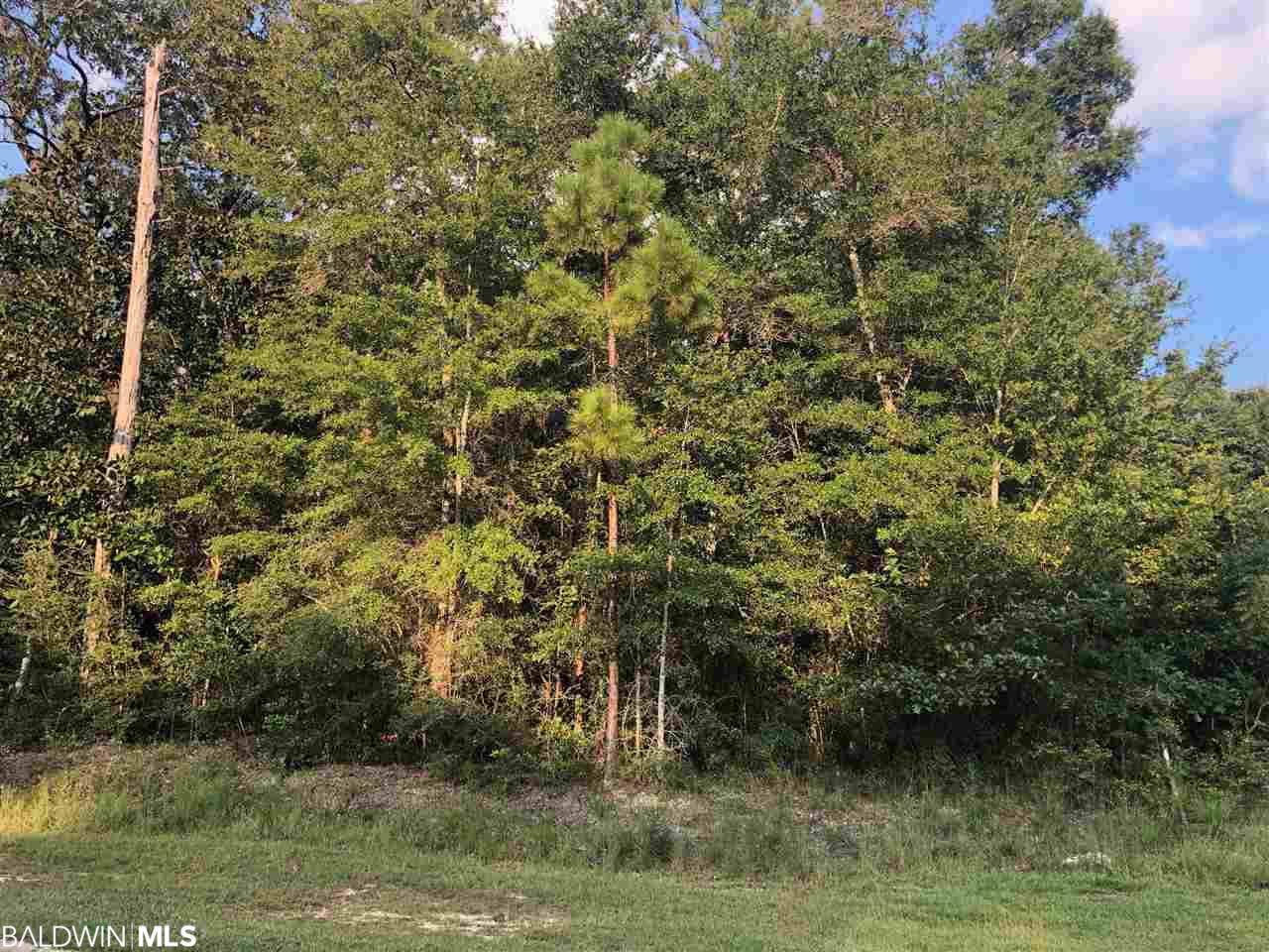 0 Acorn Knoll Drive - Photo 1