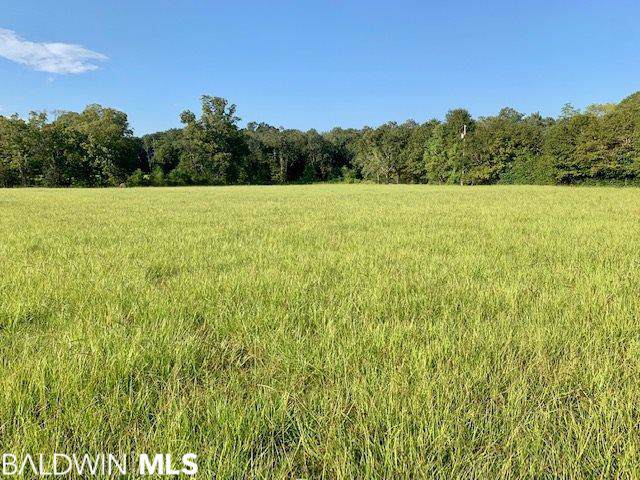 0 County Road 68 - Photo 1