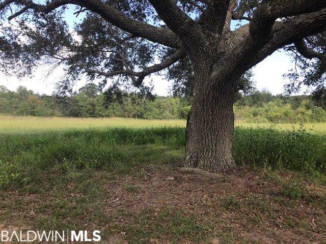 0 Balsam Creek Drive - Photo 1