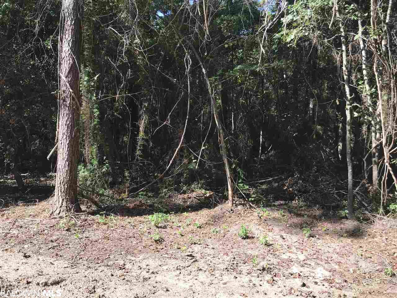 0 Calloway Road - Photo 1 0 Calloway Road - Photo 1