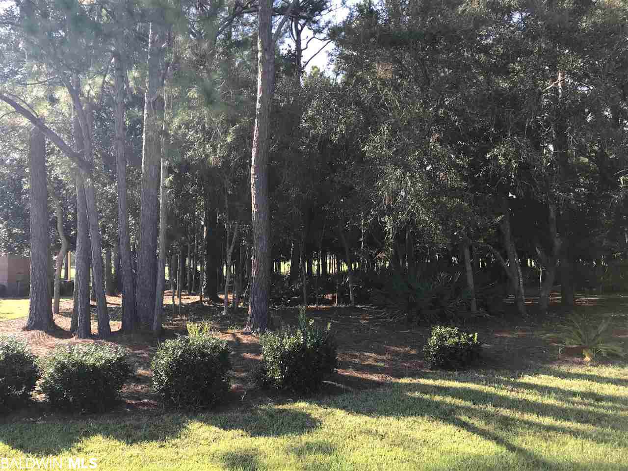 0 Fairway Drive - Photo 1