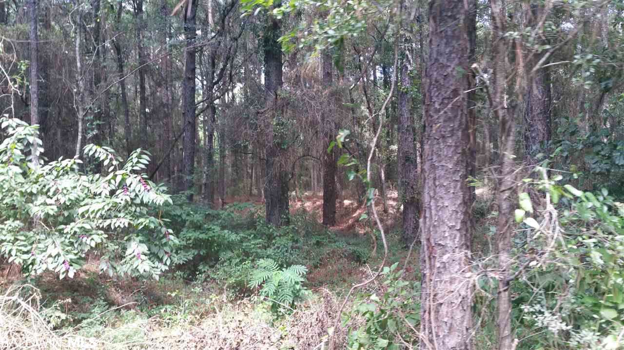 0 County Road 9 - Photo 1