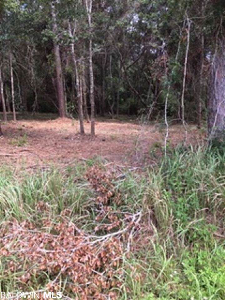 Lot 6 County Road 16 - Photo 1