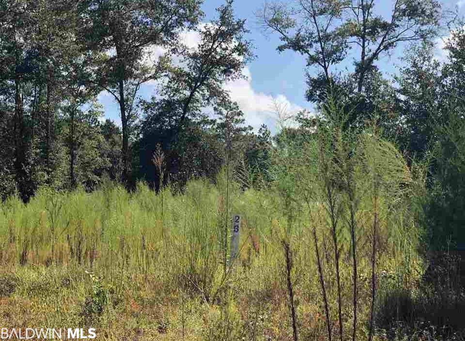 RE Ph 1 Lot 26 Cool Springs Drive - Photo 1