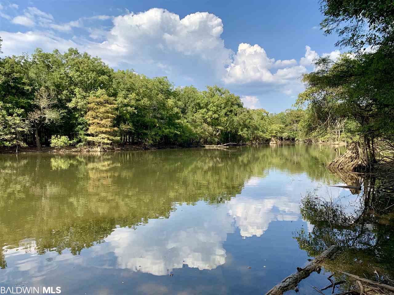 0 Holly Creek Rd - Photo 1