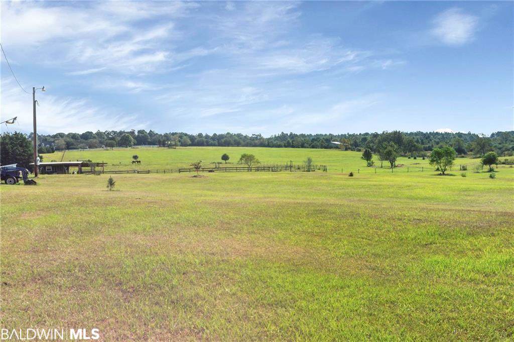 24264 Cowpen Creek Road - Photo 1