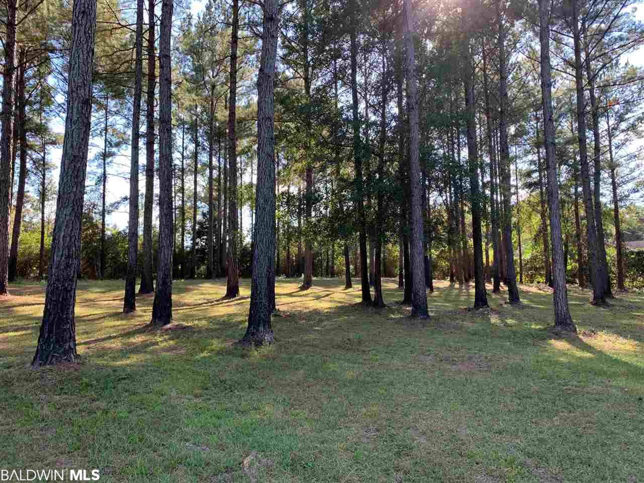 14355 Trawick Rd - Photo 1 14355 Trawick Rd - Photo 1