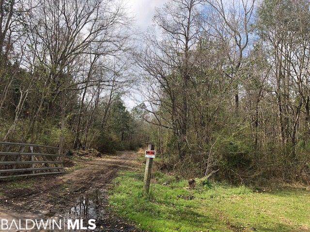 75 Point Escambia Circle - Photo 1
