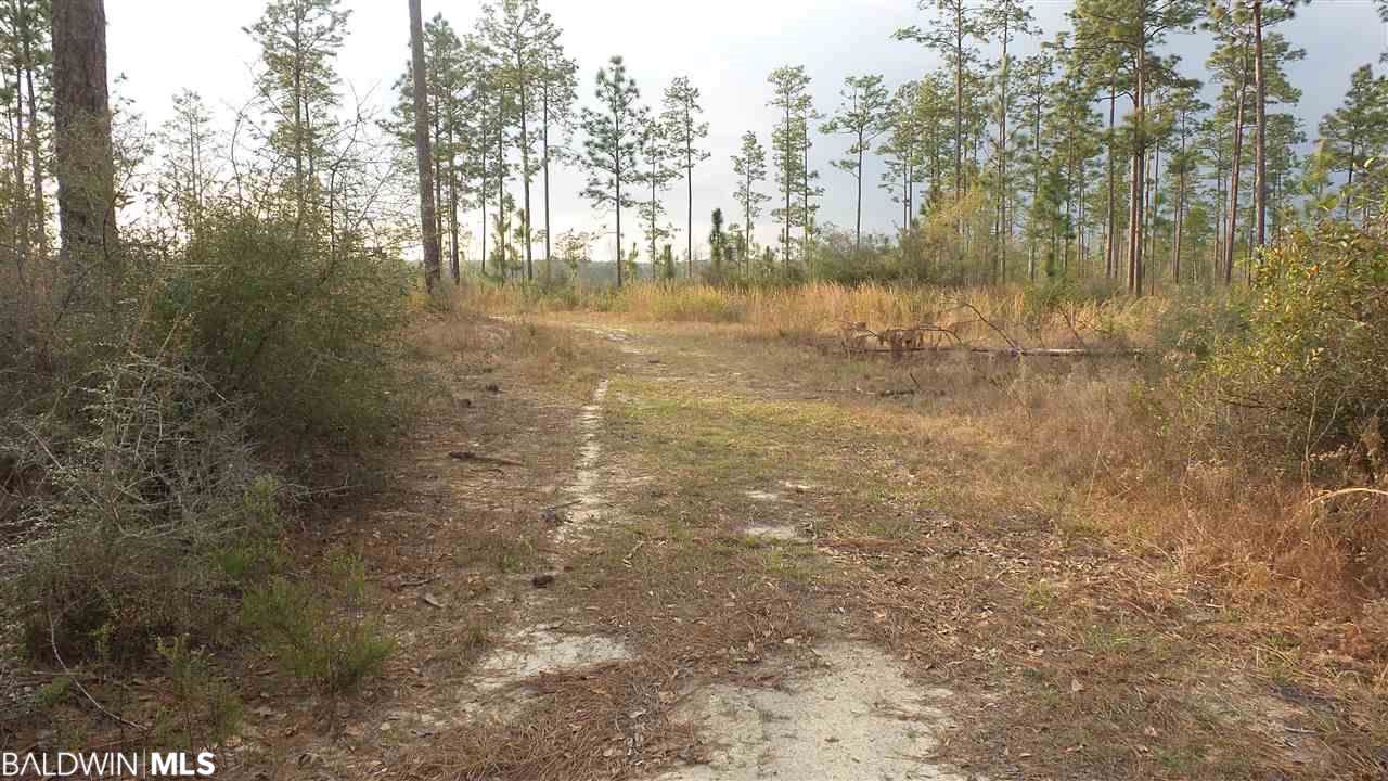 4 Lewis Rd - Photo 1