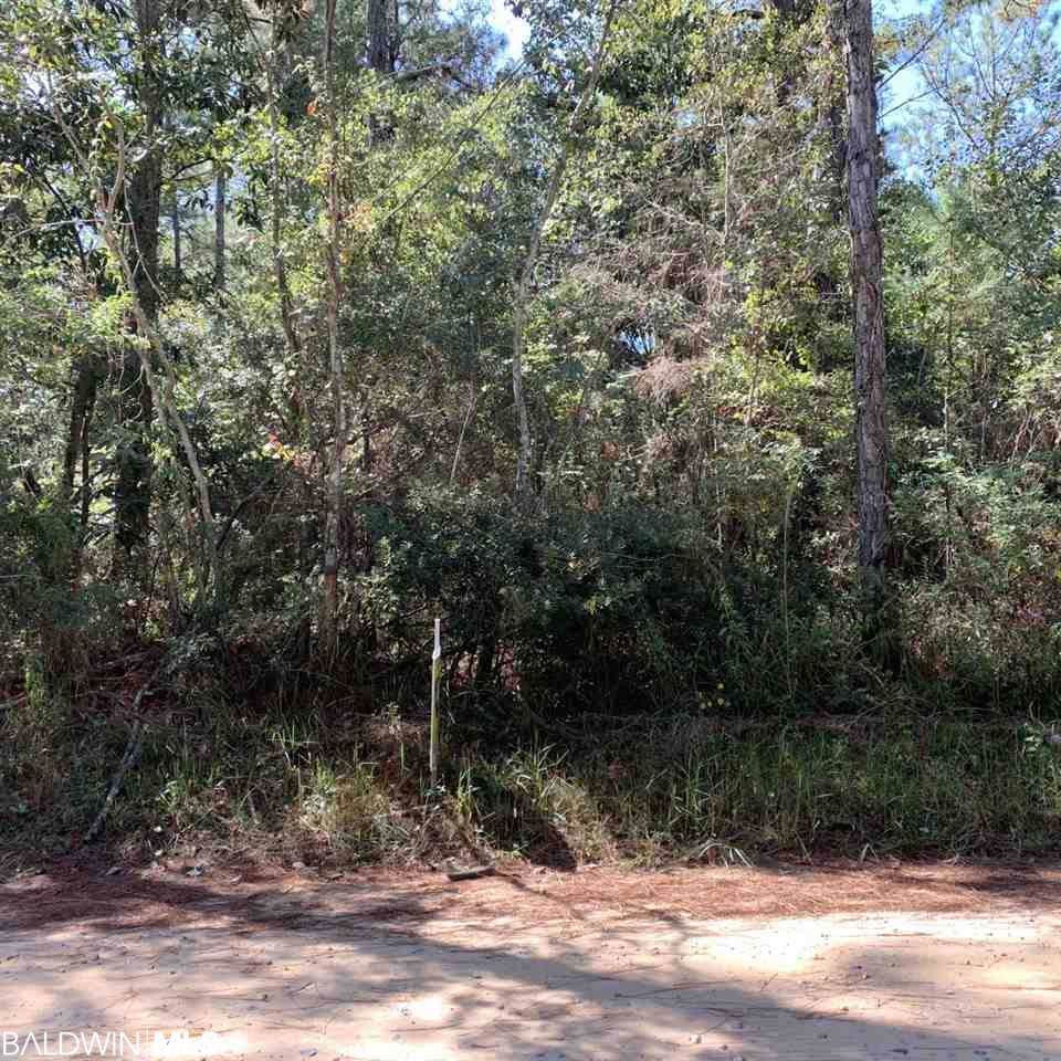 Dakota Drive - Photo 1