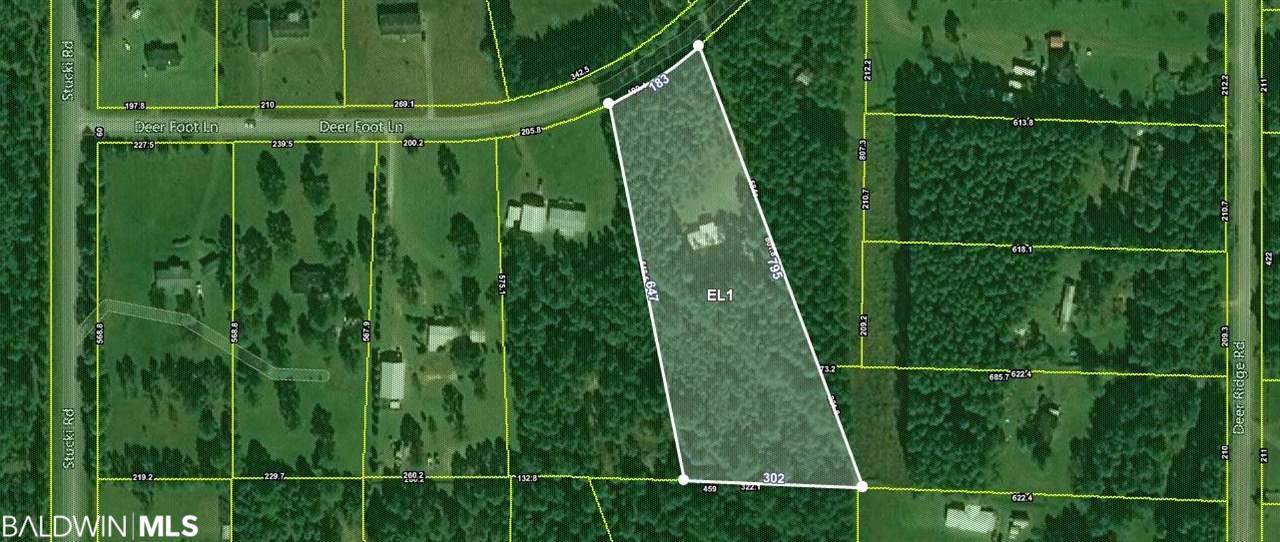 10828 Deer Foot Lane - Photo 1
