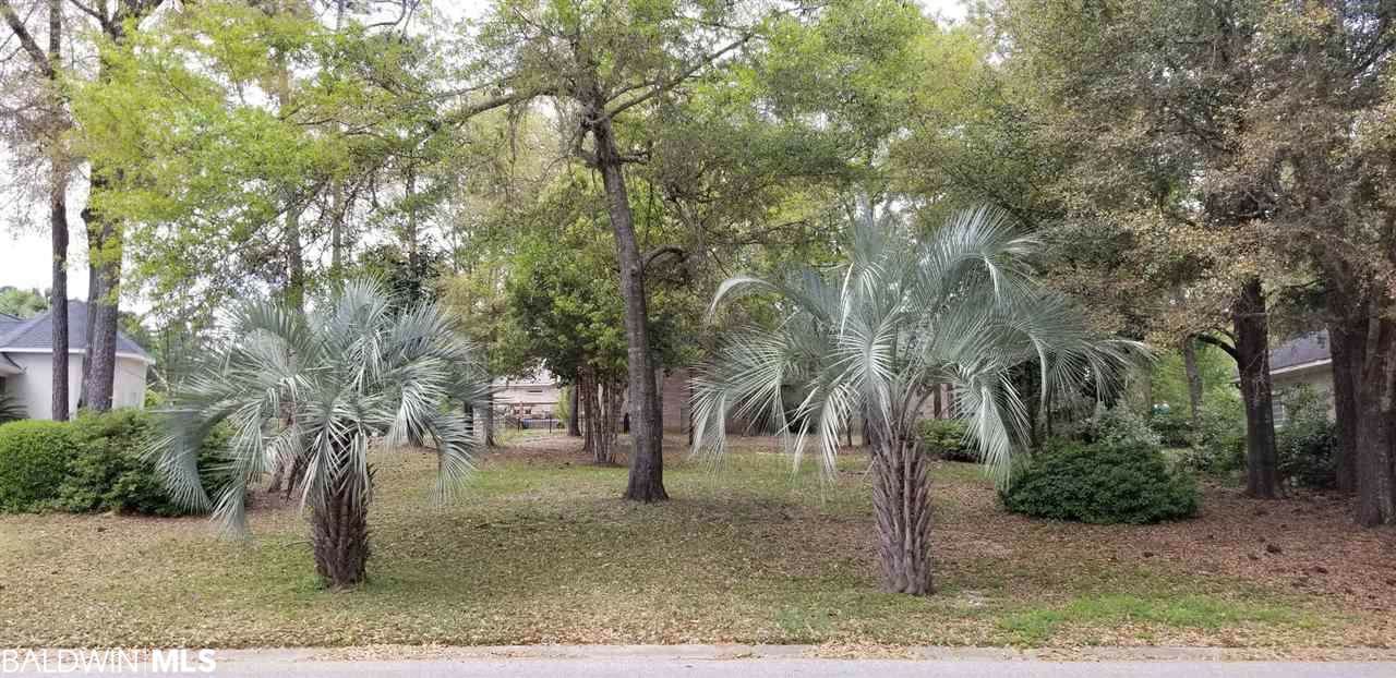 0 North Drive - Photo 1