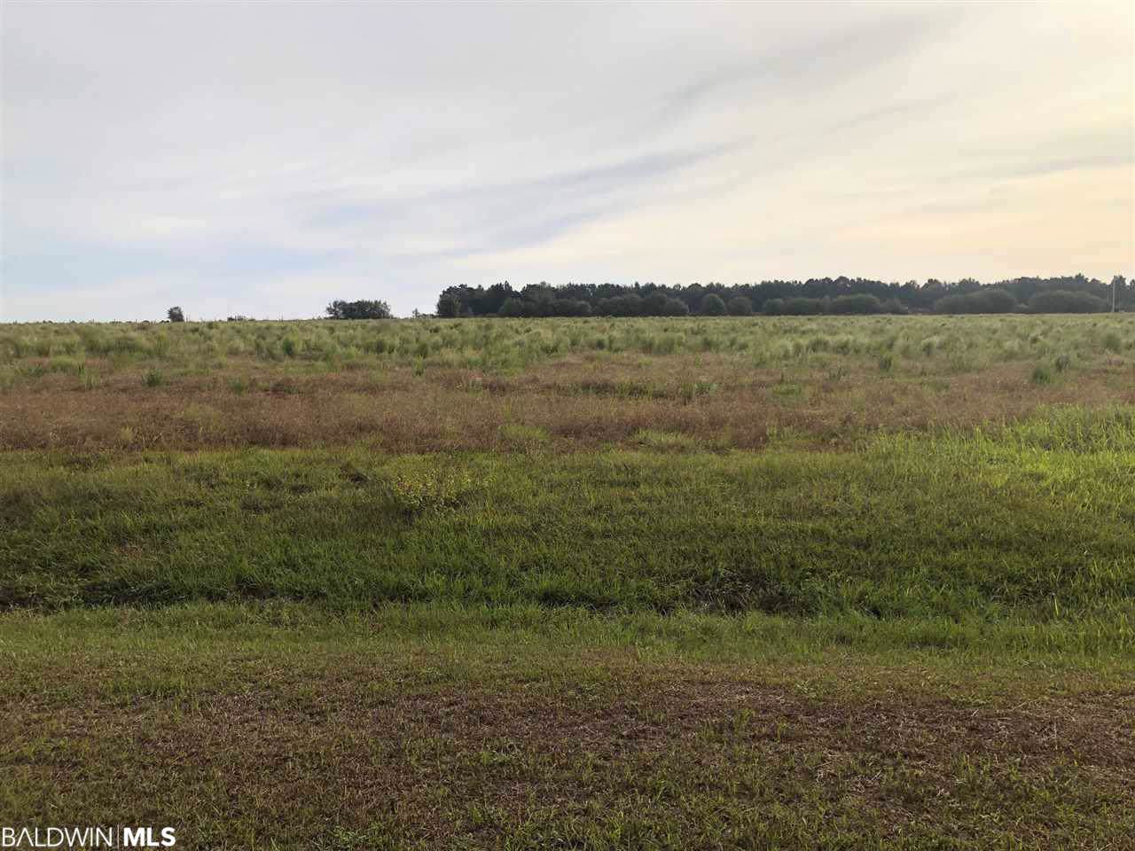 000 Greek Cemetery Road - Photo 1