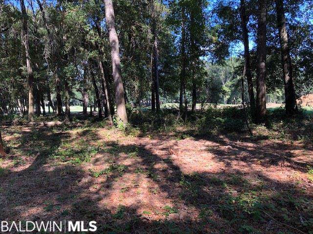 Polo Ridge Blvd - Photo 1
