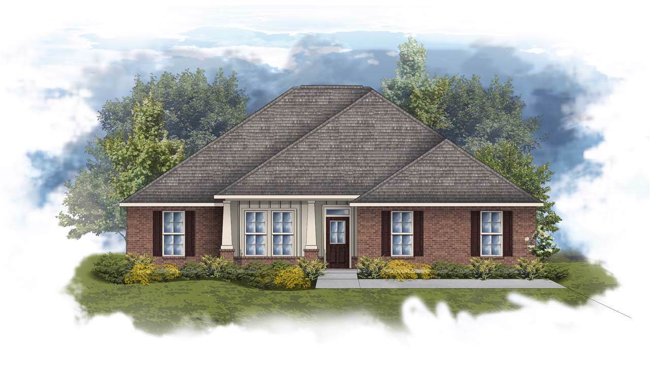 11736 Evangeline Drive - Photo 1