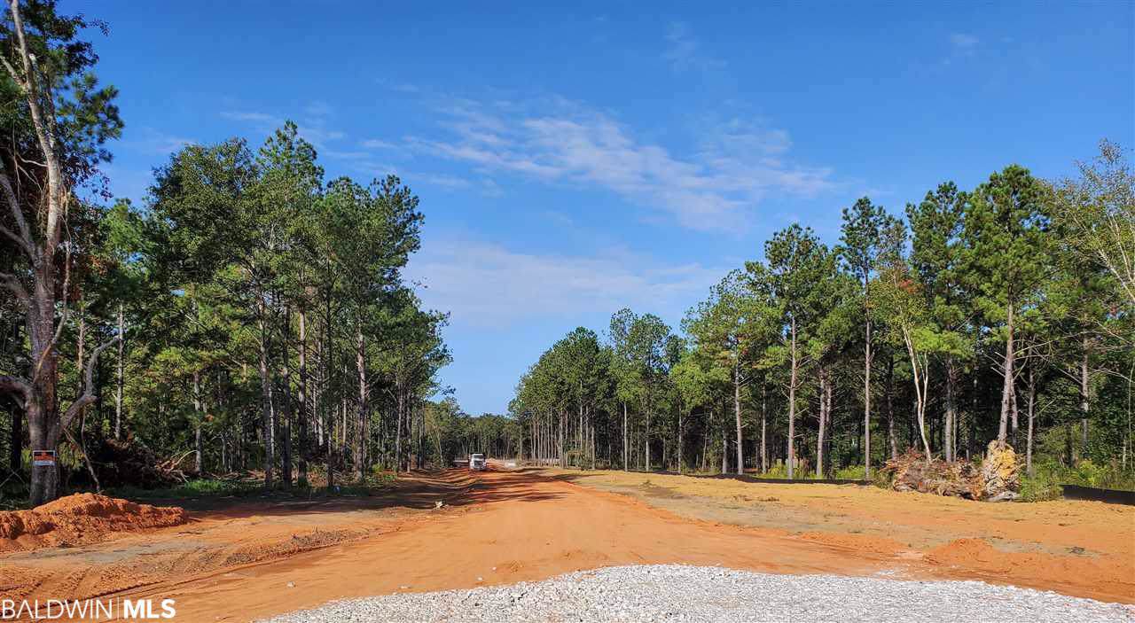 000 Anglers Trail - Photo 1