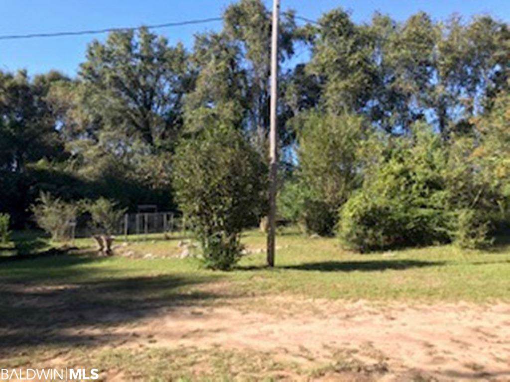 20347 Boggy Branch Lane - Photo 1