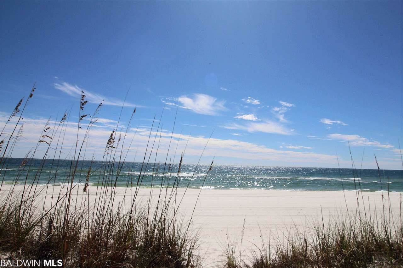 29010 Perdido Beach Blvd - Photo 1