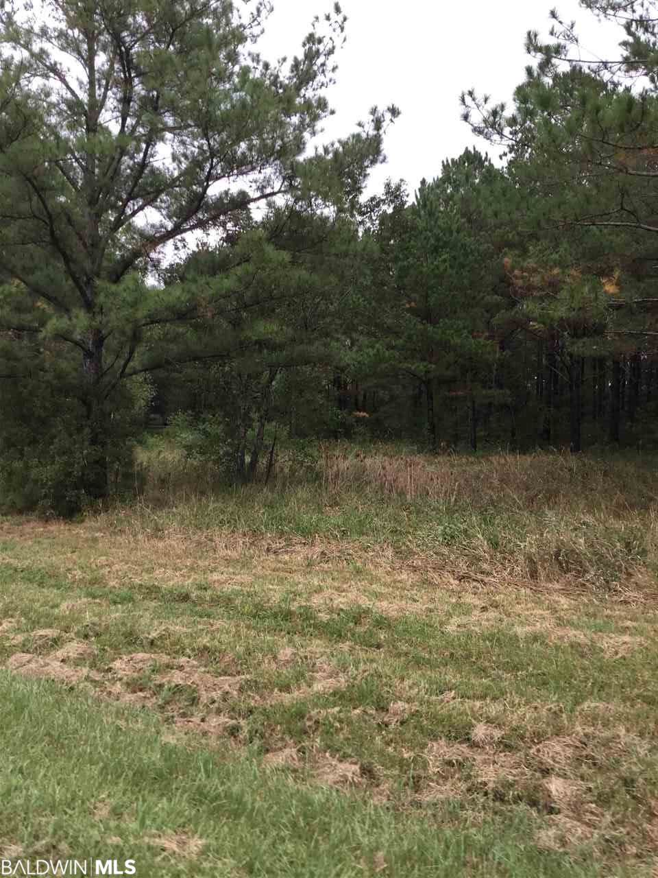 35078 Ogden Ave - Photo 1