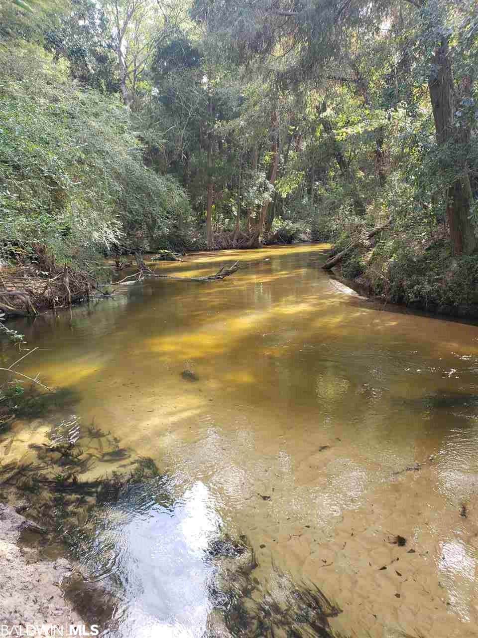 0 County Road 48 - Photo 1