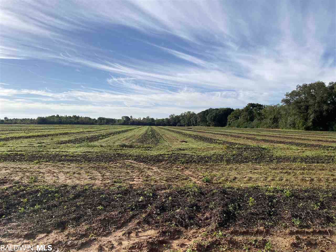 0 County Road 26 - Photo 1