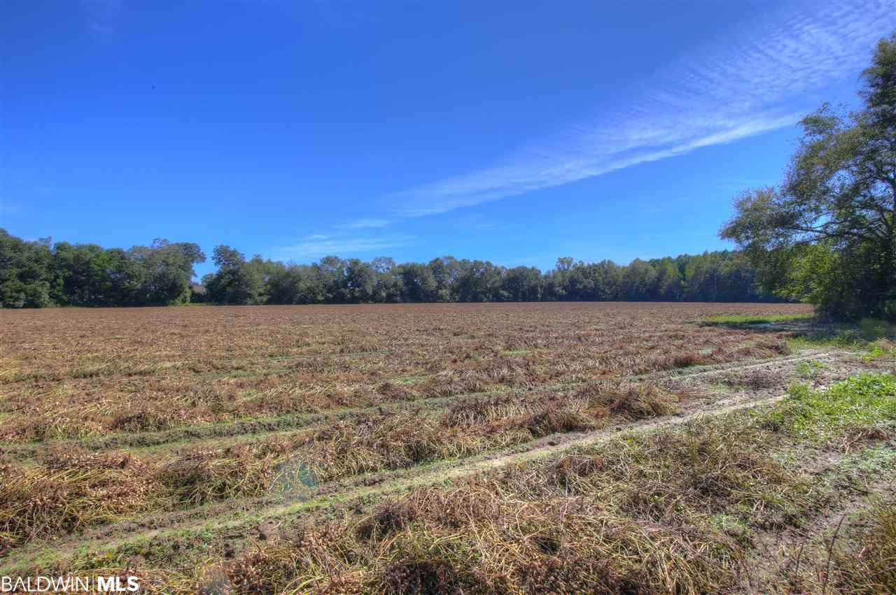 9376 Twin Beech Road - Photo 1