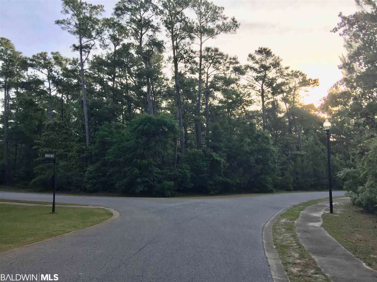 41 Haven Dr - Photo 1
