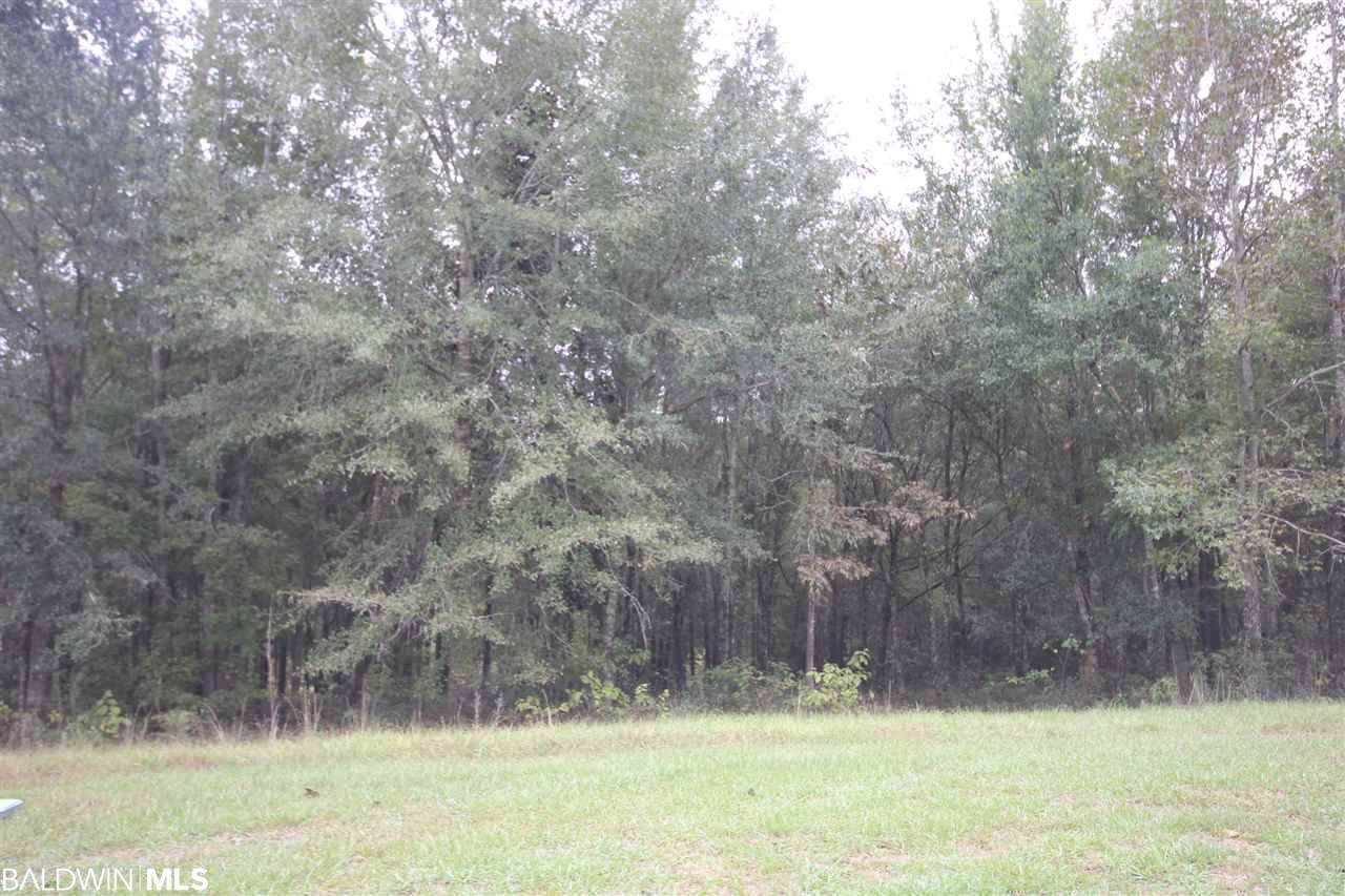 0 Shinnecock Ln - Photo 1