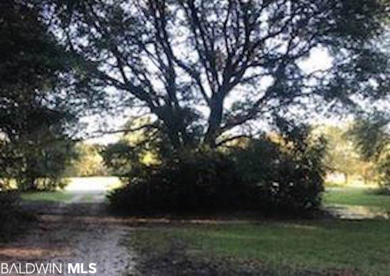 10862 County Road 48 - Photo 1