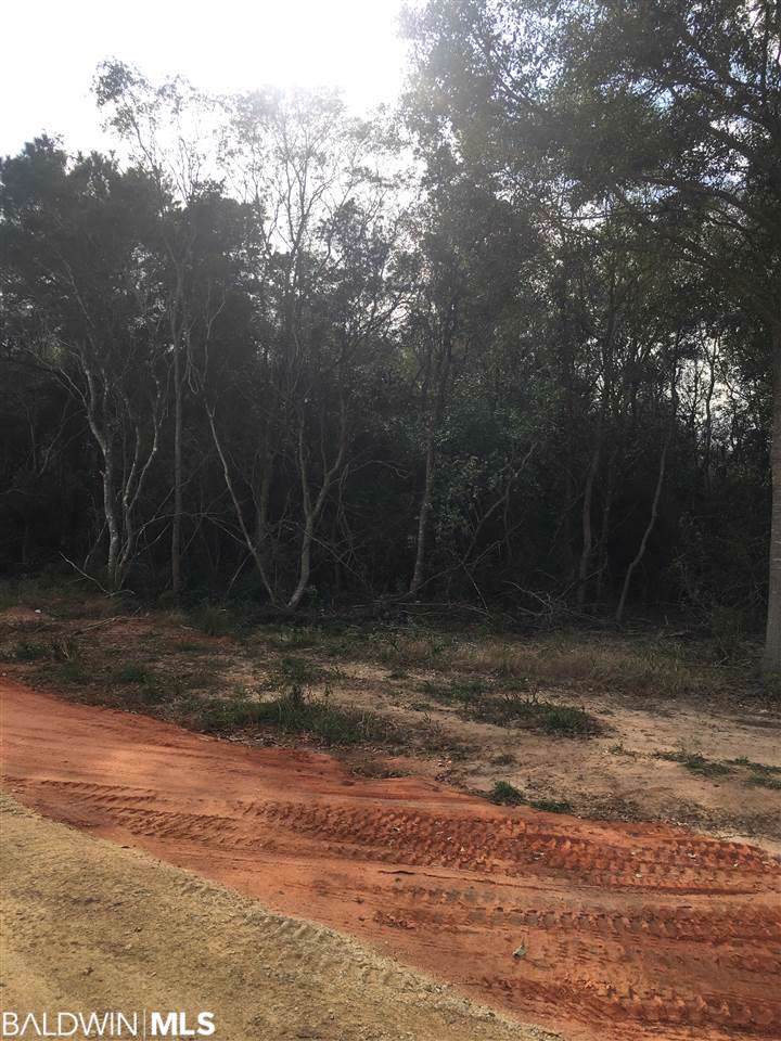 15820 County Road 28 - Photo 1