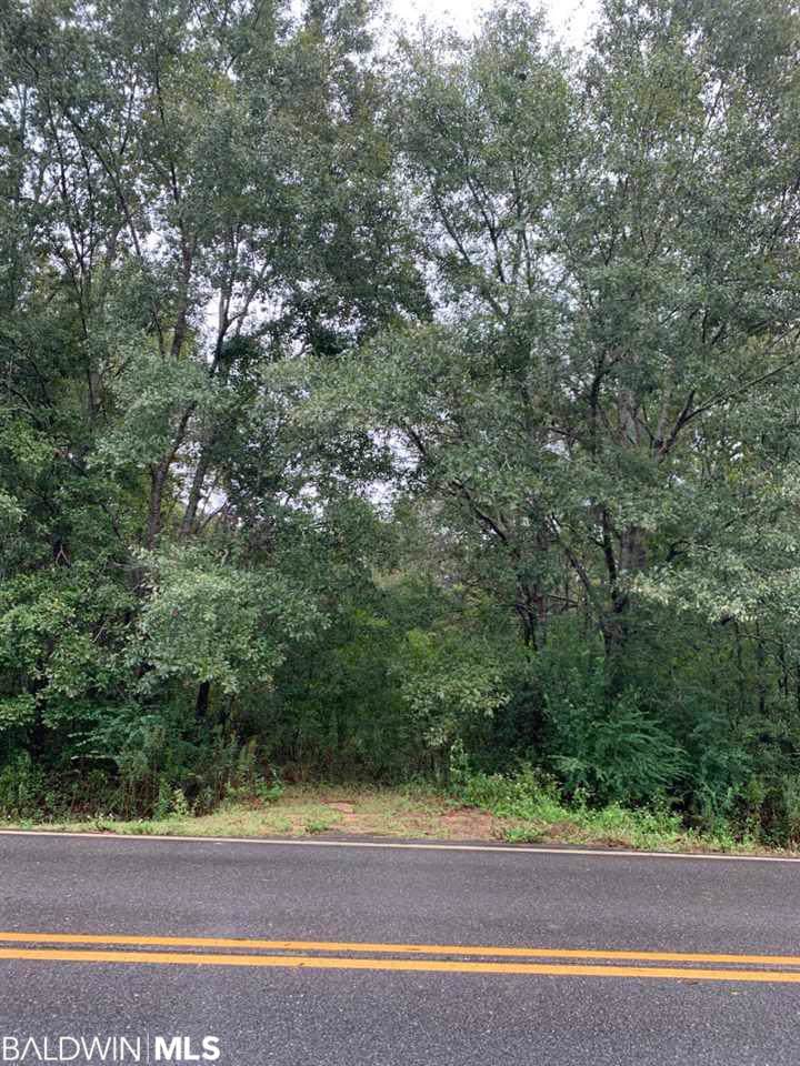 21260 County Road 49 - Photo 1