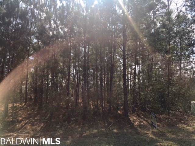 Lake Pointe Lane - Photo 1