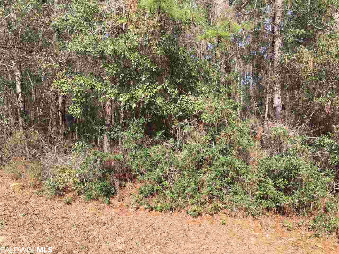 000 Erin Pond Road - Photo 1 000 Erin Pond Road - Photo 1