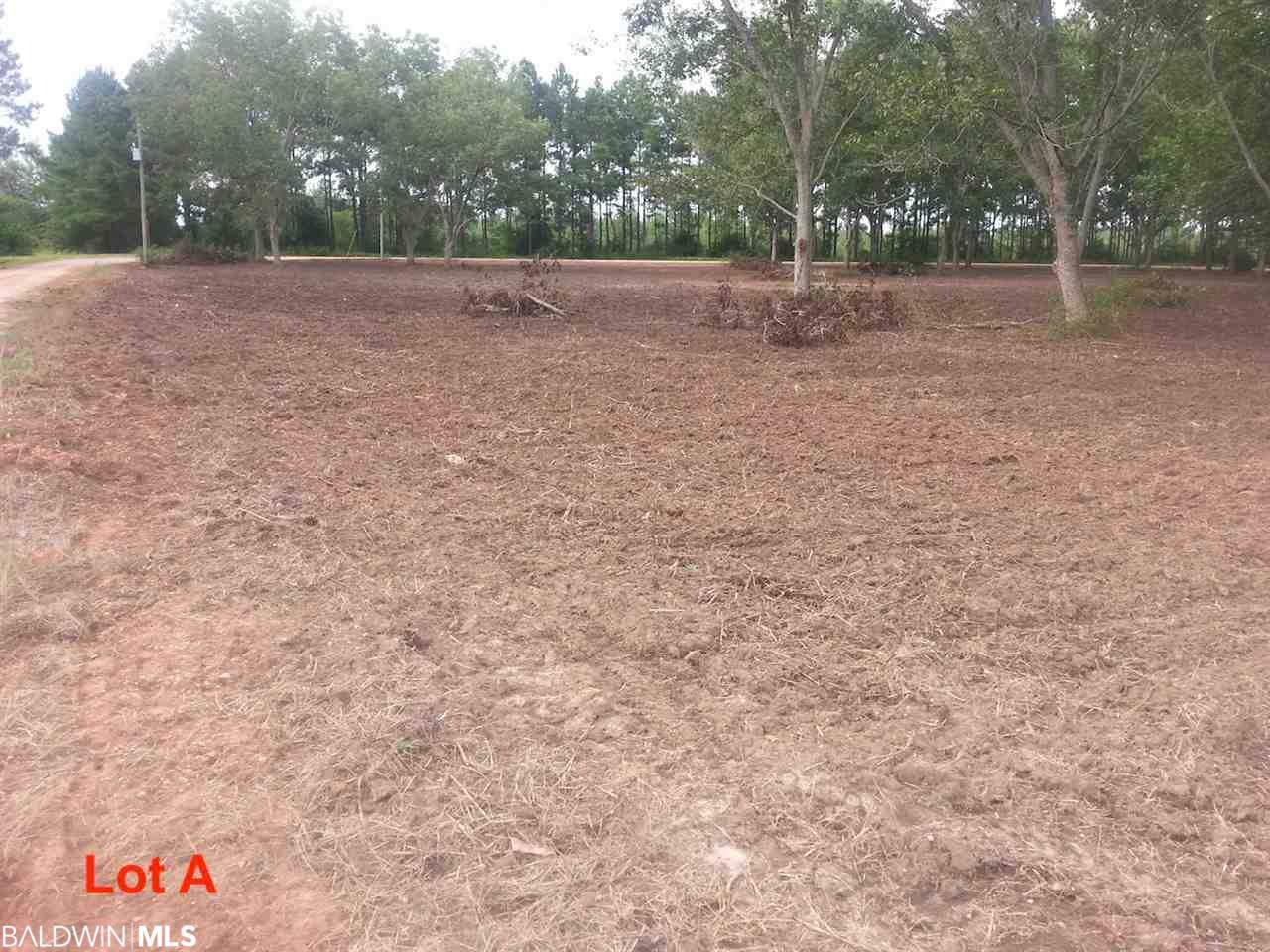 16827 Engel Lane - Photo 1