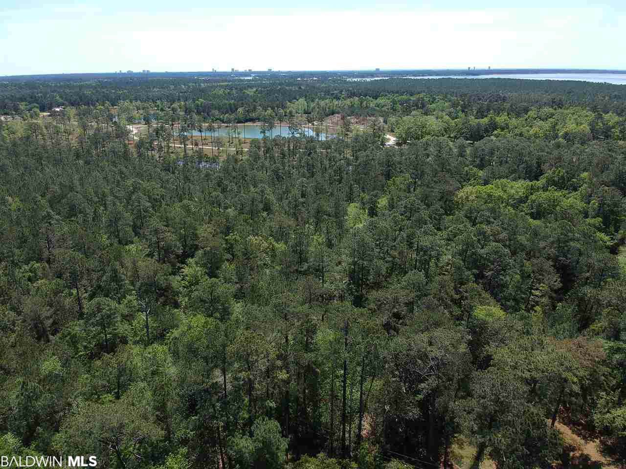 0 County Road 49 - Photo 1