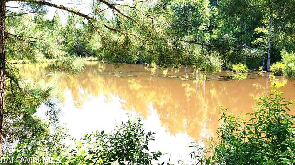 0 Bayou Road - Photo 1
