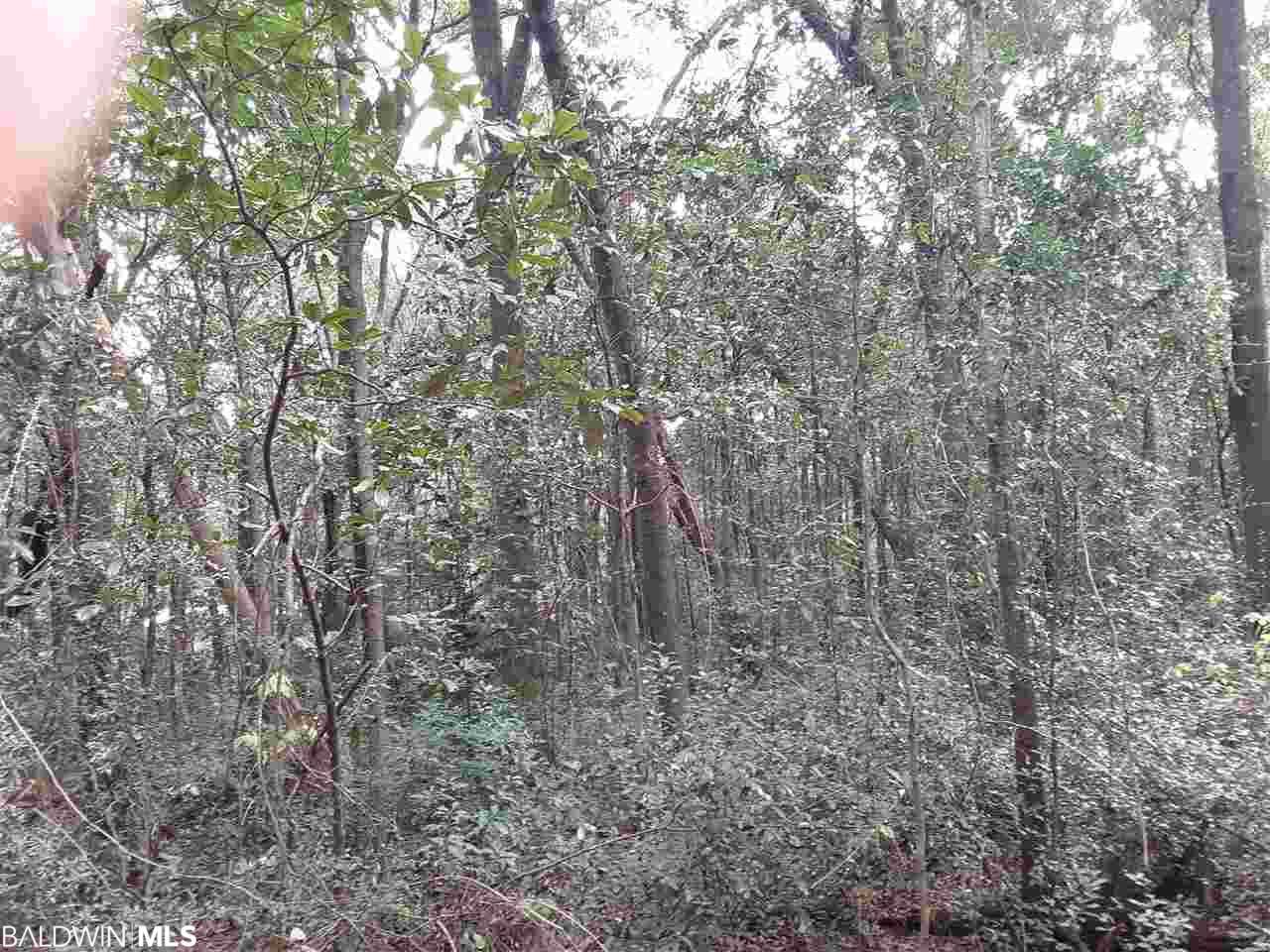 Twin Oaks Drive - Photo 1